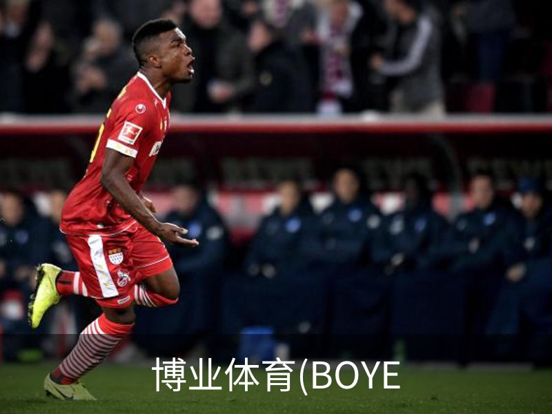 博业体育(BOYE介绍